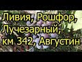 Виноград   Ливия, Рошфор, Августин, км 342, Лучезарный