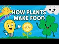 Photosynthesis for Kids! | Learn with Characters + Catchy Science Song | How do Plants Eat? 🍀