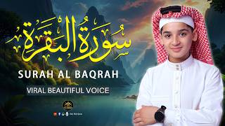 Surah Al Baqarah     By Qari Abdullah Ahmed Shaaban  Calming Quran Recitation
