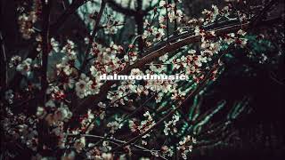 🎧𝐉𝐚𝐳𝐳 𝐏𝐥𝐚𝐲𝐥𝐢𝐬𝐭 | 늦은 봄의 조용한 시간🌙 | Late Spring Quiet Hours
