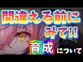 メメントモリ　実況　「取り返しがつかなくなる前に見てほしい！育成についての注意点」