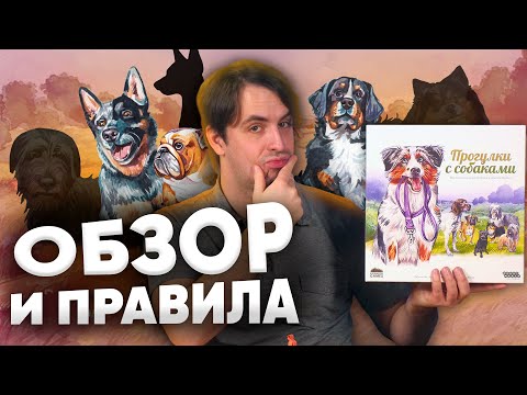 Прогулки с собаками: Обзор и правила настольной игры. КТО ХОРОШИЙ МАЛЬЧИК?!
