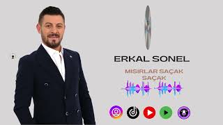 ERKAL SONEL MISIRLAR SAÇAK SAÇAK