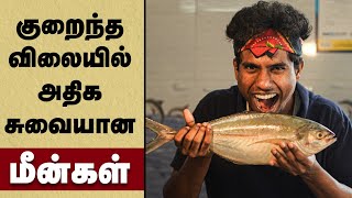 Healthy fish: குறைந்த விலையில் சுவையான மீன்களை வாங்குவது எப்படி Fish buying in Tamil