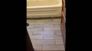 IMG 0380