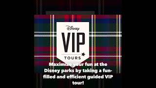 Disney World Private VIP Tour