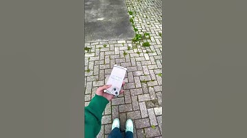 😱 Dropping our phone until it breaks - Day 23