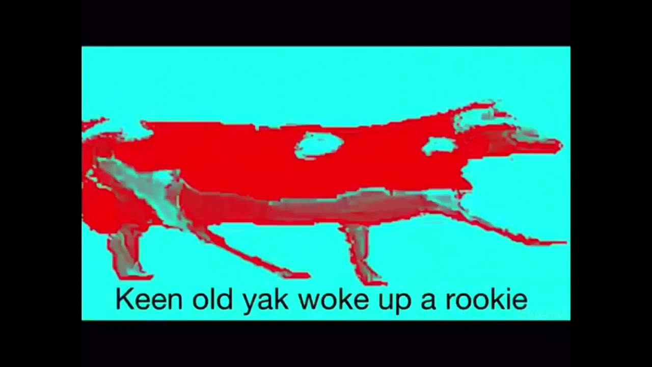 Polish cow lyrics YouTube