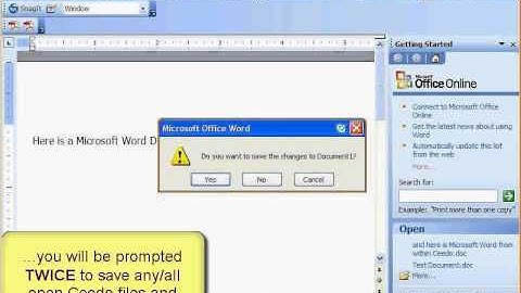 Ceedo - System Tray Pop-Up Menu Options - Exit