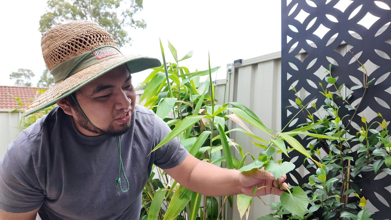 BACK TO SCHOOL NA ULI DITO SA AUSTRALIA