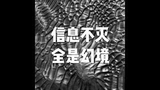 201902 信息不灭 全是幻境51027