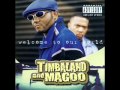 Timbaland feat. Magoo - Feel It