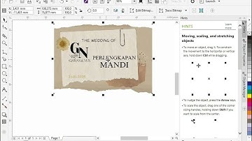 Wilcom Embroidery Studio e4.2h sp3 Connect to CorelDRAW Graphics Suite 2017 || Desain auto