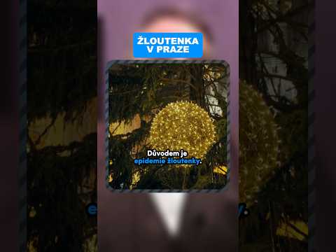 ŽLOUTENKA je česká TRADICE!