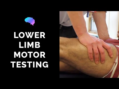 Motor Assessment of the Lower Limbs - OSCE Guide