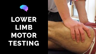 Motor Assessment of the Lower Limbs - OSCE Guide | UKMLA | CPSA