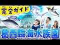行く前に見て！葛西臨海水族園を全部見せちゃう水族館ツアー【with ボンボンアカデミー 】