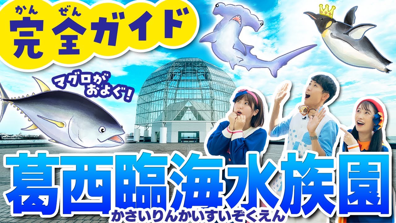 行く前に見て！葛西臨海水族園を全部見せちゃう水族館ツアー【with ボンボンアカデミー 】