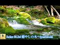 川のせせらぎ。美しい苔と山の中を流れる清らかな川のリラックス自然音。The murmuring of the river. Beautiful moss. Mountain river. Relax.