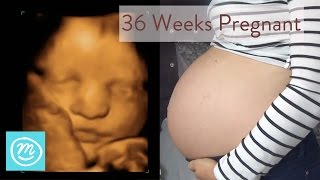 36 Weeks Pregnant: What You Need To Know - Channel Mum