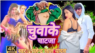 चुवाके #चाटजा-महेन्द्र लाल यादव के भोजपुरी #विडीयो chuhake #JaatJa mahendra Lal ke Bhojpuri #video 