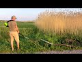 Lawn Transformation Show: Mowing Extremely Tall Grass, Yard Cleanup. Show begins now!