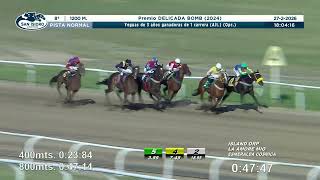 Vidéo de la course PMU PREMIO DELICADA BOMB 2024