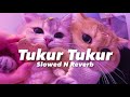 Tukur tukur dilwale slowed n reverb