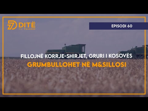 Fillojnë korrje-shirjet, gruri i Kosovës grumbullohet në M&Sillosi - Episodi 60