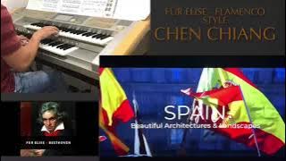 Fur Elise-Yamaha Electone ELS01C