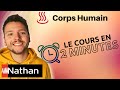 Bilan thermique du corps humain  1ere enseignement scientifique