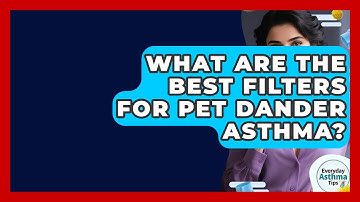 What Are The Best Filters For Pet Dander Asthma? - Everyday Asthma Tips