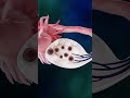 Woman Menstrual Cycle 3d Animation I Woman Periods Cycle Short Ytshorts Creatviveleaning3d Woman Menstrual Cycle 3d Animation I Woman Periods Cycle Short Ytshorts Creatviveleaning3d