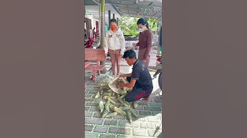 Nay tặng 2 e gái món đặc sản quê hương #shot