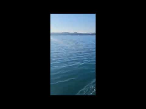 Все видео атаки 20 августа Севастополь, Штаб Флота, беспилотник