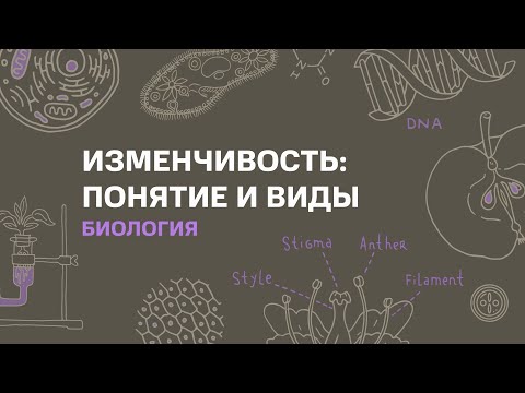 Тема: Изменчивость: понятие и виды