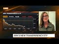 Cathie Wood on New ETF, Investing Strategy