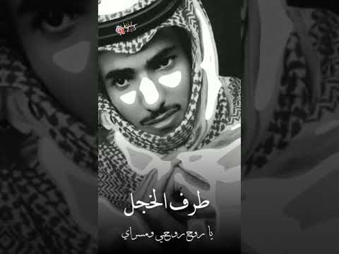 فارس مهدي أعظم خطاياي