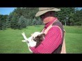 Students learn how to train and take care of hunting dogs - Brainerd Dispatch MN Students learn how to train and take care of hunting dogs - Brainerd Dispatch MN