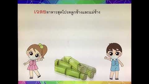 Denla School ชั้นอนุบาล 3 ( คาบที่ 8 ) กิจกรรมเสริมหลักสูตรคอมพิวเตอร์ (ICT)