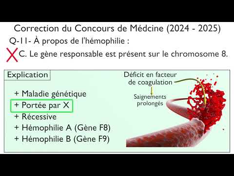 Génétique humaine : L'hémophilie. Question 11  du Concours de Médecine 2024-2025