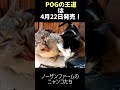 【POGの王道】ノーザンファームのニャンコたち#POG #POGの王道