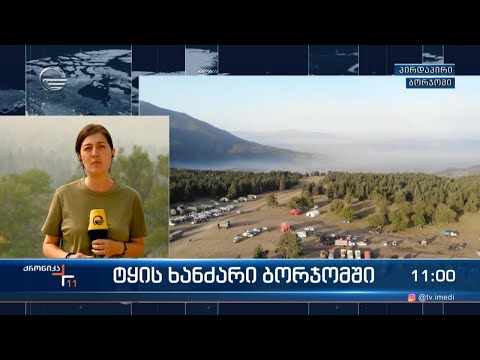 ტყის ხანძართან ბრძოლის მეშვიდე დღე