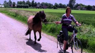 Download Lagu IMAG0040 MP3