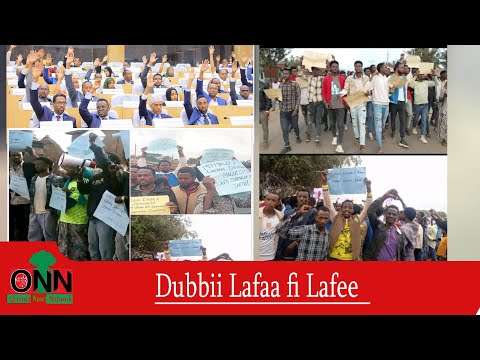 ONN Gaaddisa Dimokirasii Adoolessa 31 2025 