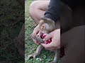 #monkey47 #monkey #monkeytime #animals #monkeybar #monkeymonkey #monkeyplace #babymonkey