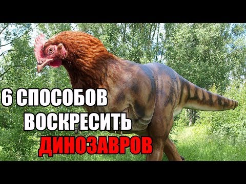 Video: Kako so se dinozavri spremenili