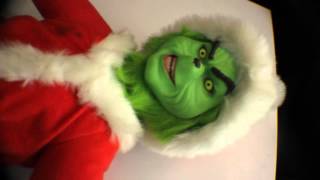 Playmates Grinch Stole Christmas Doll Transforming Talking Two Face Nice Evil