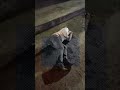 【緊急】泥酔美女#あちゃ〜#日本#酔っぱらい#お笑い#viral#funnyfails#tiktok #tiktokvideo #youtube#shorts#おすすめ#Twitter#爆笑#海外