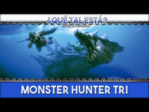 Vídeo: Sin Cargo Para Jugar Monster Hunter Tri